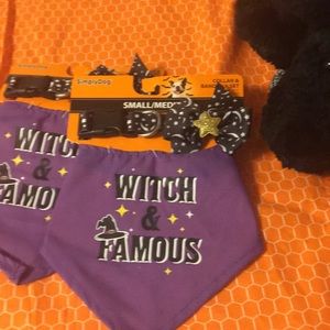 Halloween dog collar &bandana set